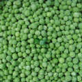 IQF Frozen Green Peas in High Quality